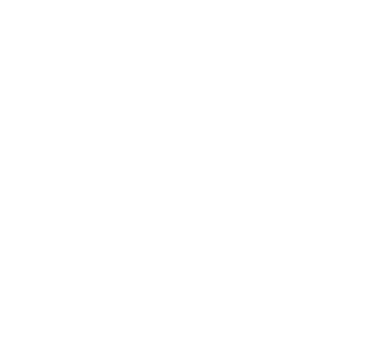 nofalgconsulate